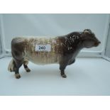 A Beswick study, Dairy Shorthorn Bull 1504