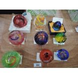 Nine Caithness Paperweights designed by Helen MacDonald, Red Poppy, Miniature Millennium, Yellow