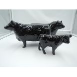 Three Beswick studies, Aberdeen Angus Family, Bull 1562, Cow 1563 & Calf 1827A