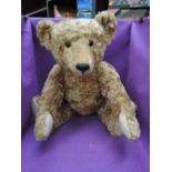 A modern limited edition Steiff Bear, Maximilian having white tag 667244 with gold button,