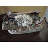 A taxidermy of juvenile Hedgehog in naturalistic setting, no case