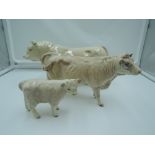 Three Beswick studies, Charolais Family, Bull 2463A, Cow 3075A & Calf 1827B