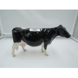 A Beswick study, Shetland Cow 4112