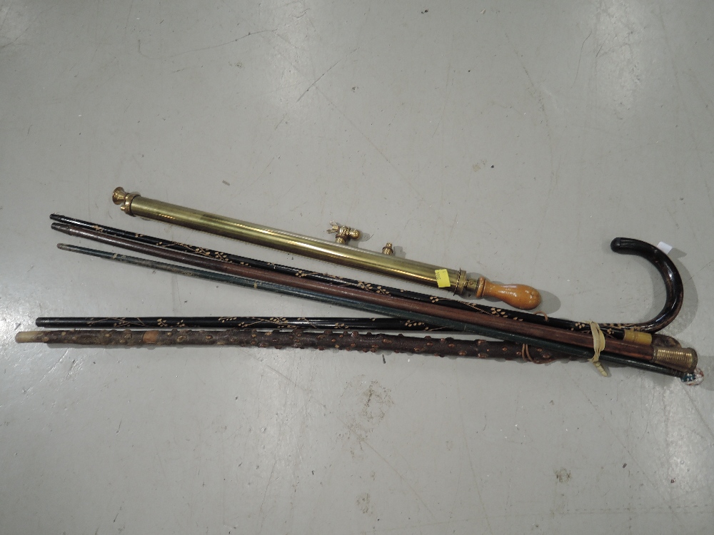 A selection of walking sticks and canes including brass topped cane