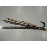 A selection of walking sticks and canes including brass topped cane