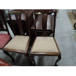 A pair of early 20th Century stained frame dining chairs on cabriole legs