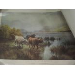 A vintage print of Highland and cattle