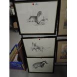 A selection of wild animal prints fox badger and otter