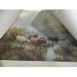 A vintage print of Highland and cattle