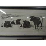 A signed and limited run print of Belted Galloway Cattle signed JB