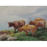 A watercolour, Tom Rowden, Highland Cattle at Loch, signed, 12in x 21in