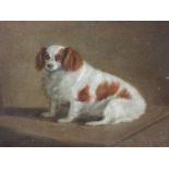 An oil painting, Spaniel, 19th century, 15in x 19in