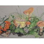 A watercolour, Isobel A V Watson, Larch Boletus and Rowan Berries, signed and dated 1990, and