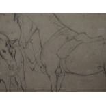 A sketch study of ponies, 7in x 9.5in