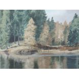 A watercolour, Vivian Pooley, Tarn Hows, signed and attributed verso, 15.5in x 23in