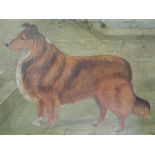 An oil painting, A Stevenson, Collie dog, signed and dated 1896, 14in x 18in and an oil painting,
