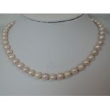 A string of baroque style pale pink cultured pearls of even size, with 1960's receipt from