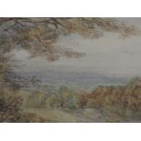 Two original watercolours depicting woodland scene, indistinctly signed, 11in x 14in