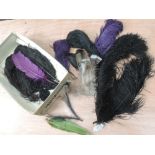 A box of antique feathers, including ostrich feathers in black and purple, perfect for millinery and