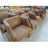 A set of eight suede tub chairs on beech frames
