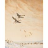 □ W.E. CARRICK (EARLY 20th CENTURY) GEESE FLYING signed l.r. watercolour 47.0 x 36.0cm / 9 1/2 x