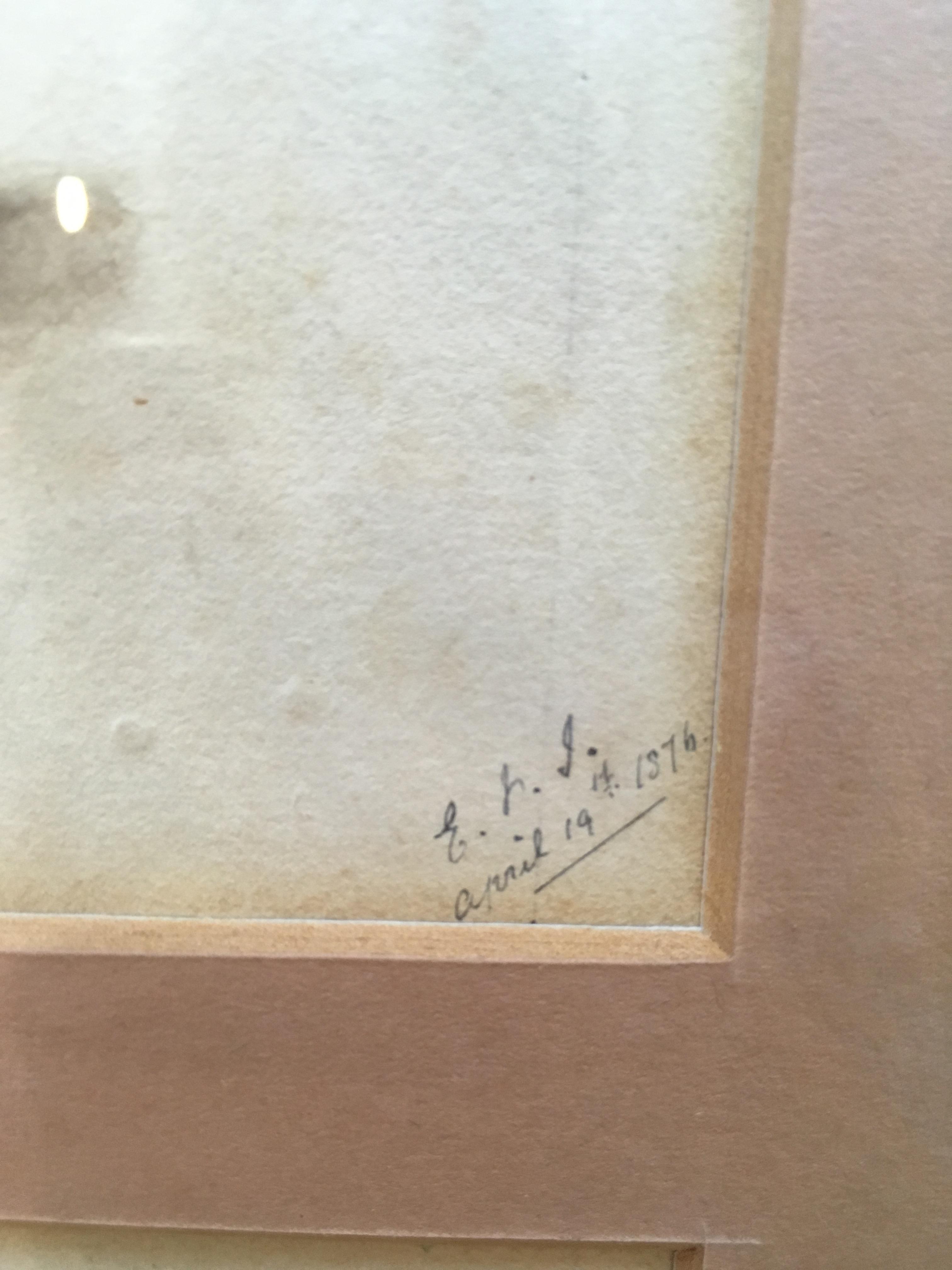 ERNEST HENRY GRISET (1843-1907) A STUDY OF MR. BRYCE MCMURDO WRIGHT'S SHELLS both initialled E.H.S., - Image 3 of 3