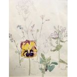 BRITISH BOTANICAL SCHOOL (20th CENTURY) BOTANICAL SKETCH watercolour 28.5 x 23.6cm / 11 1/4 x 9 1/