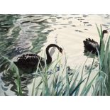 • GUY WORSDELL (1908-1978) BLACK SWANS & CYGNETS signed l.r. titled on gallery label verso