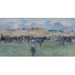 Maurice MacGonigal PRHA (1900-1979)Cows, ConnemaraWatercolour, 16 x 31cm (6¼ x 12¼'')Signed and