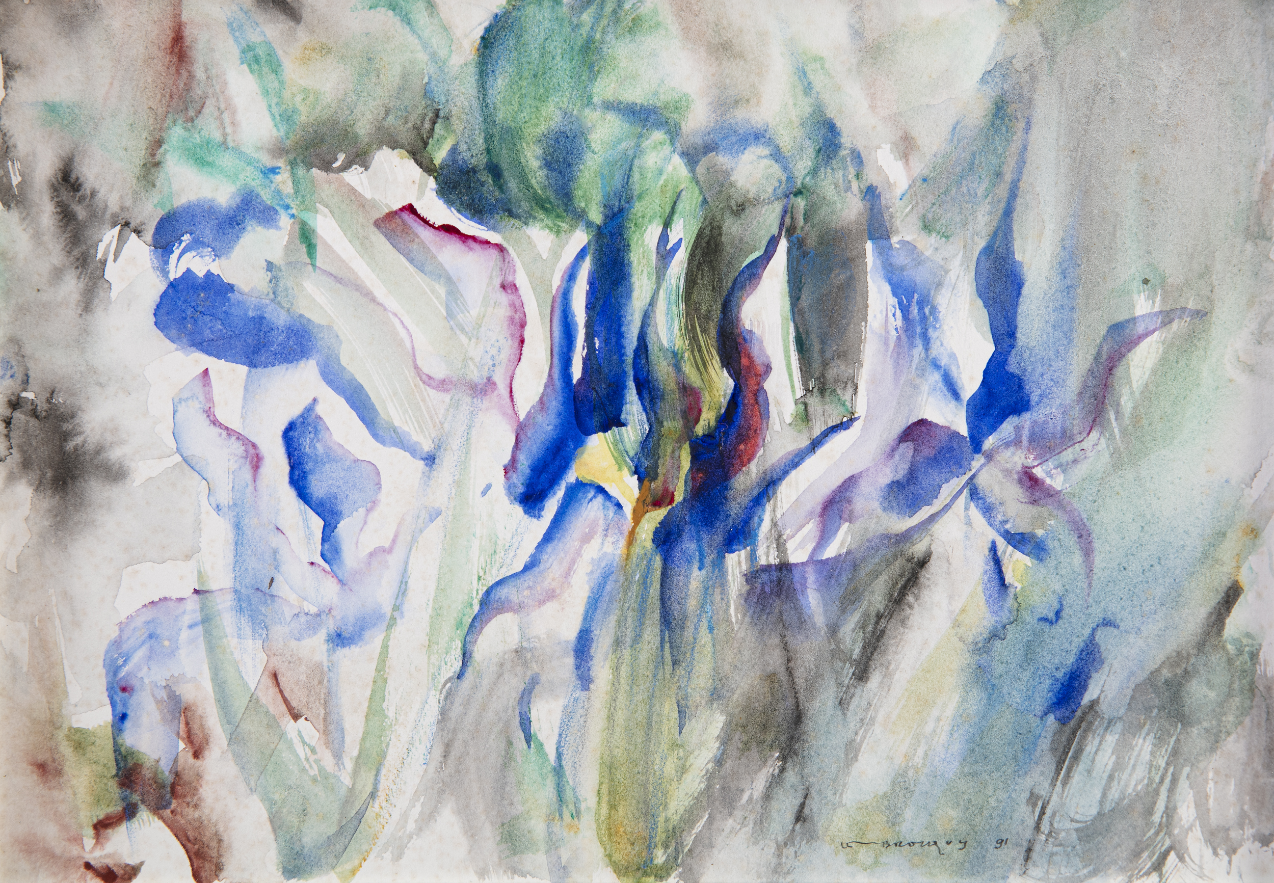 Louis le Brocquy HRHA (1916-2012)IrisWatercolour, 17 x 25cm (6½ x 9¾)Signed and dated (19)'