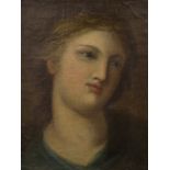 ESCUELA ESPAÑOLA, SIGLO XVIII Estudio de cabeza Cartón adherido a lienzo. 32,5 x 24,5 cm.
