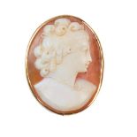 Broche camafeo con busto de dama tallado en concha bicolor con marco oval liso En montura de oro