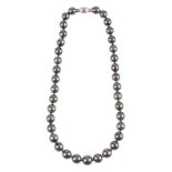 Collar de perlas de Tahití con cierre de tonel en oro blanco de 18K Diámetro perlas : 12,7 a 10