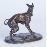 Piere Jules Mene (1810-1879), Galgo. En bronce.  Medidas: 21 x 11 x 28 cm