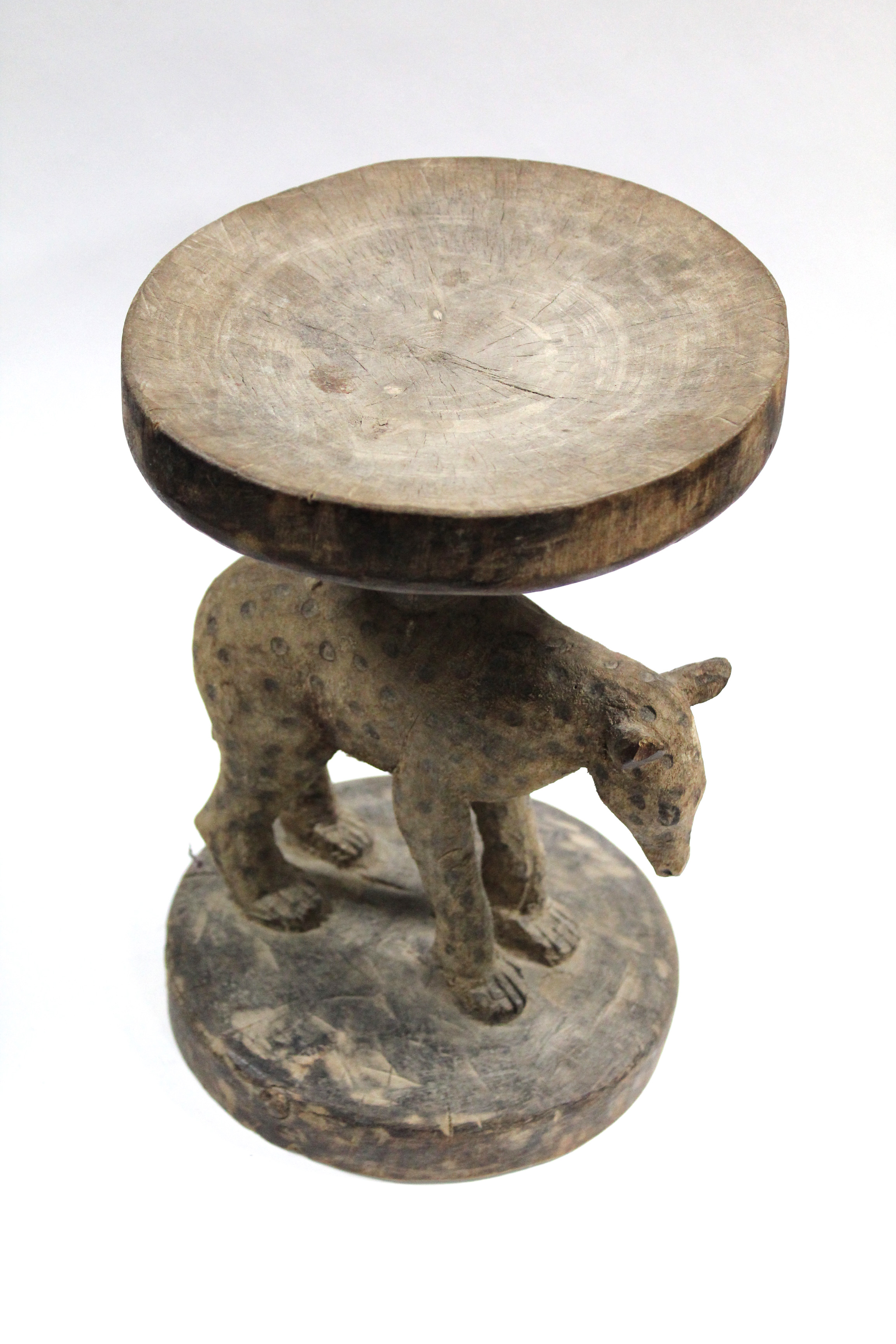 A Zimbabwean carved wooden stool, Tonga, the circular hard seat supported by a spotted hyena on - Image 2 of 2