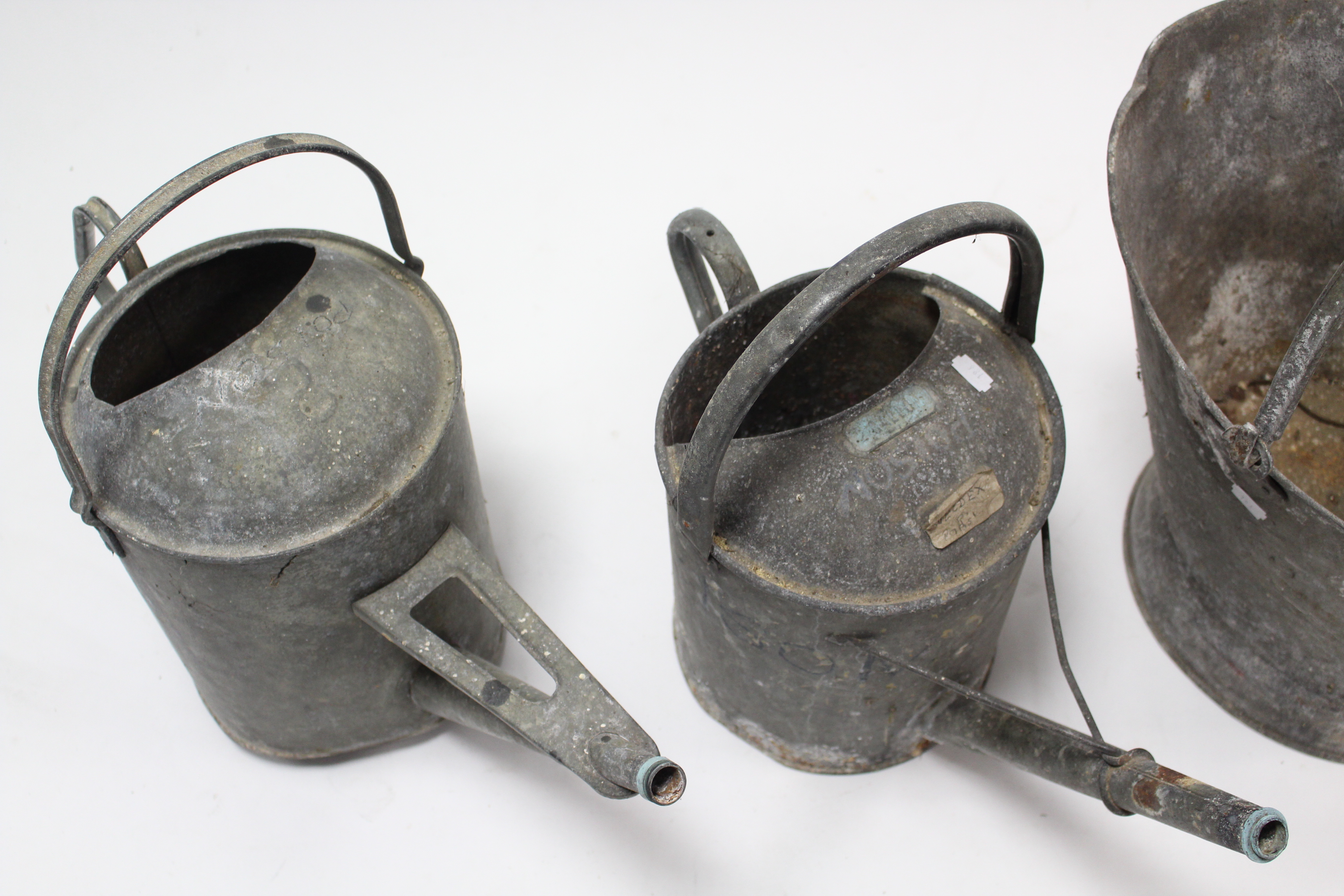 Three galvanised-metal oval watering cans; & a ditto coal scuttle - Image 3 of 3