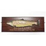 A taxidermy display mounted on a mahogany backboard titled “Brown Trout” 4lb 7oz caught by Master Ro