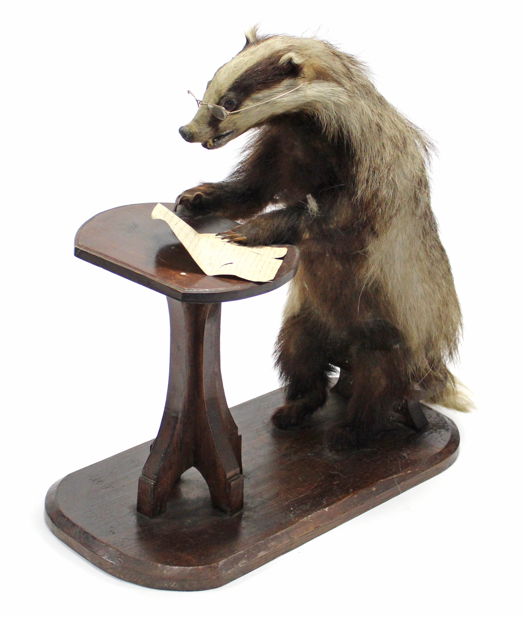 A taxidermy badger seated at a table writing a letter, 24” high.