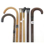 Six various walking canes, each with silver or silver plated mounts.