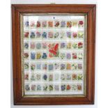 A display of silk “floral” trade cards in a glazed bird’s-eye maple frame.