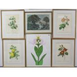 Various decorative paintings & prints.