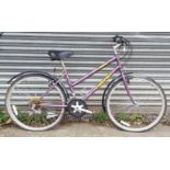 A Freespirit “Roseland” fifteen-speed ladies’ mountain bike.