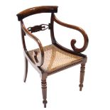 A Regency rosewood carver chair with shell-carved & pierced centre rail, cane seat, & on reeded &