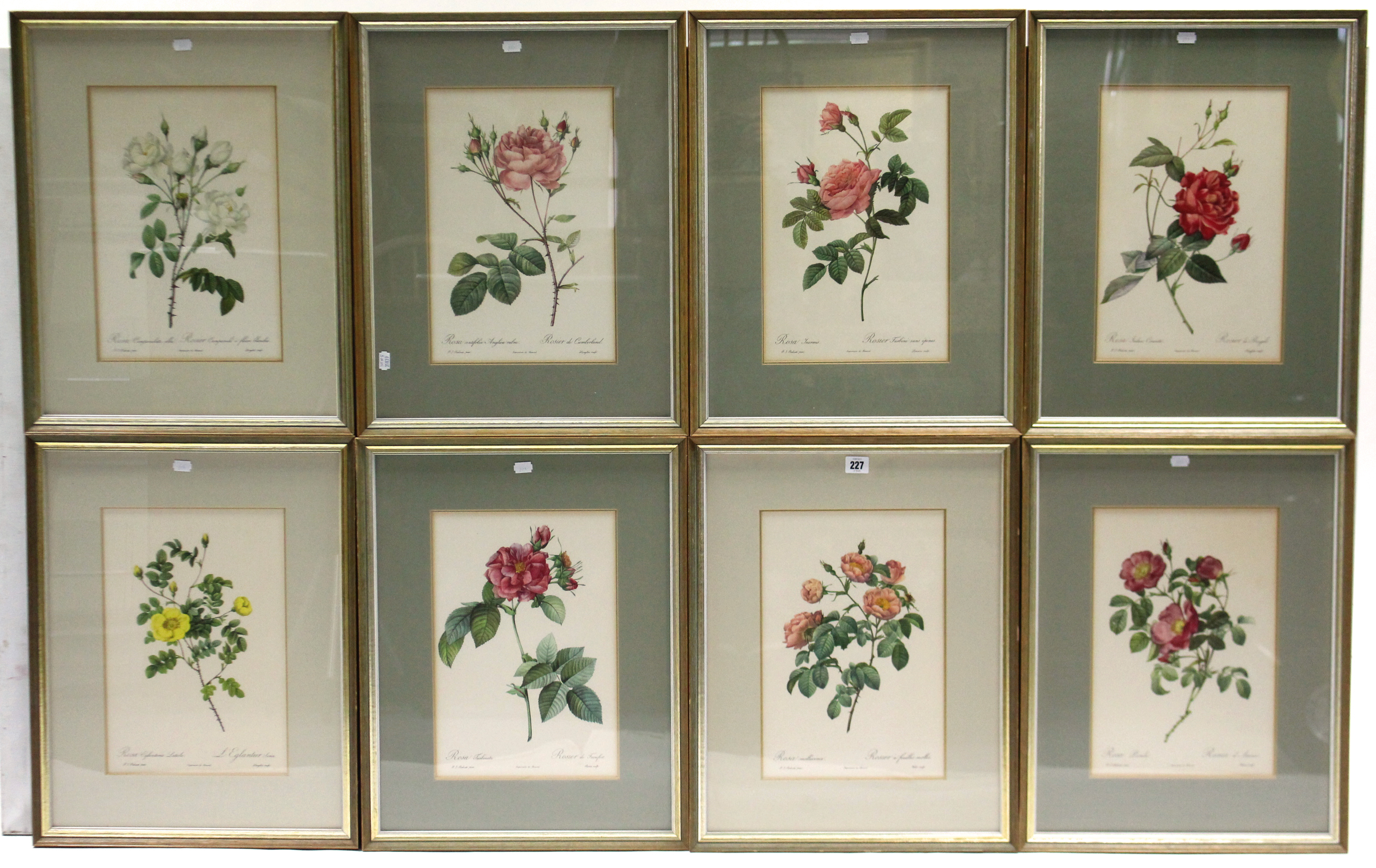 A set of eight coloured floral prints after Redoute, 14” x 9½”, each in glazed gilt frame.