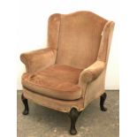 A Georgian-style wing-back armchair upholstered fawn velour, & on short carved cabriole legs & pad