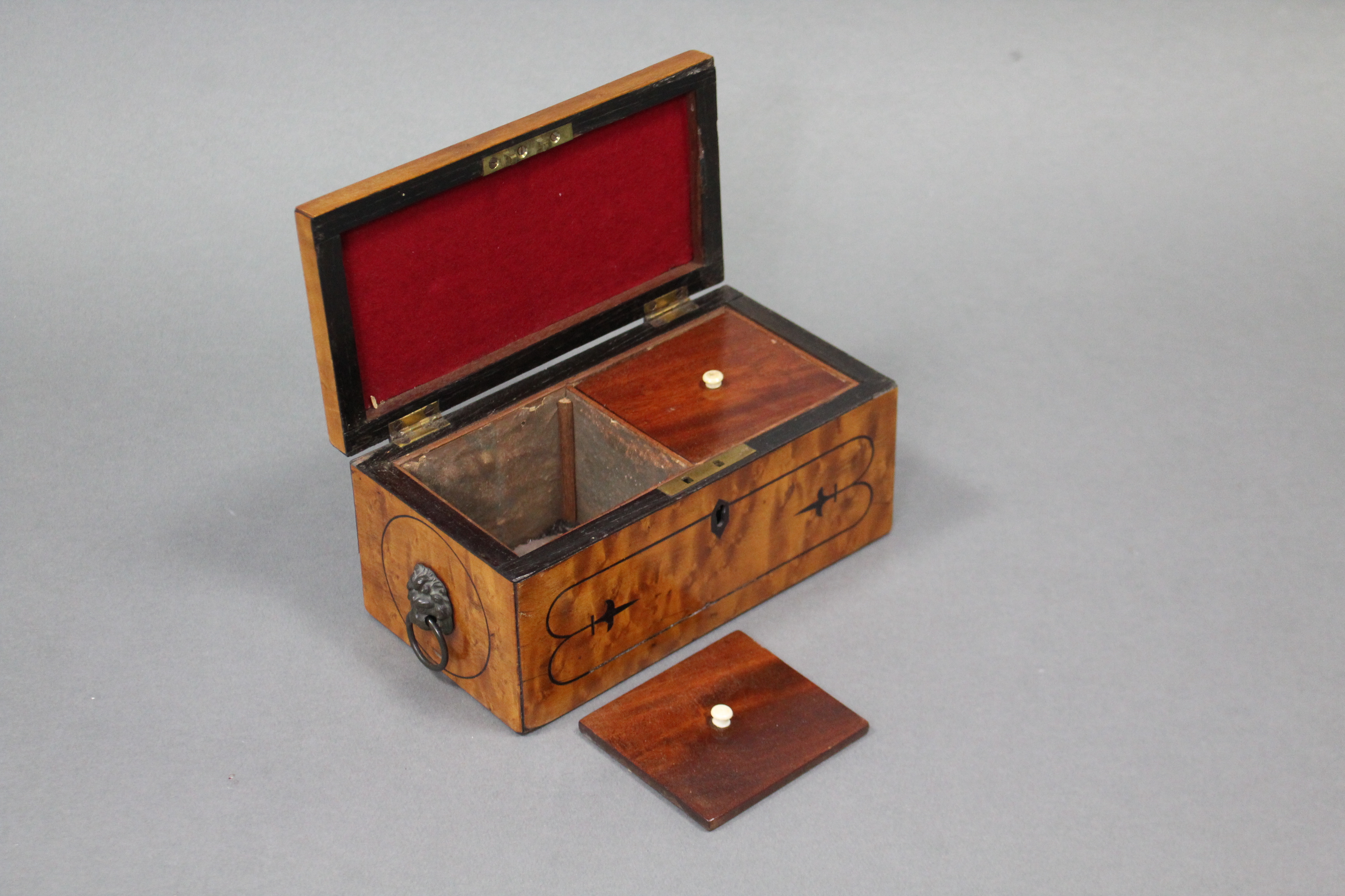 A Regency satinwood two division tea caddy with ebonised string inlay & lion-mask & ring side - Image 4 of 8