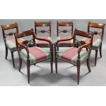 A SET OF SIX REGENCY MAHOGANY DINING CHAIRS, including a pair of carver chairs, with shaped &