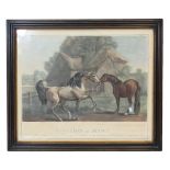 GEORGE STUBBS A.R.A. (1724-1806), by & after. Three coloured engravings: “Stallion and Mare”,
