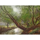 SIR DAVID MURRAY, R. A. , H. R. S. A., R. S. W., R. I. (1849-1933). A wooded river landscape with