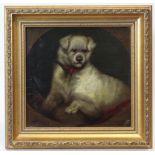 ENGLISH SCHOOL, 19th century. Portrait of a terrier. Oil on panel; 8” x 8½”, in gilt frame.